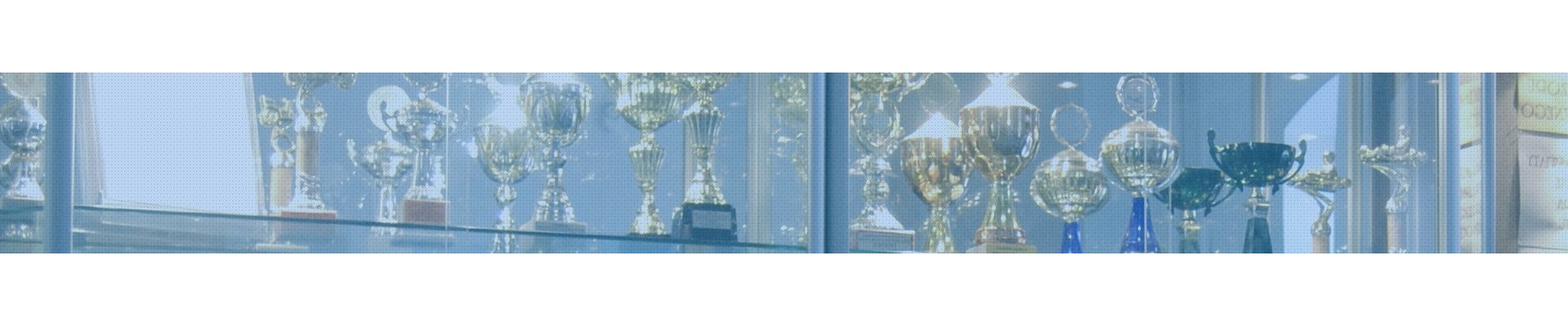 Tablice i gabloty szkolne Tablice i gabloty szkolne