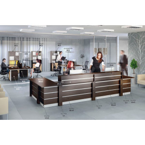 Lada recepcyjna Btx3