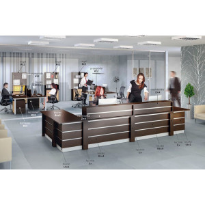 Nadstawka recepcyjna Zx2