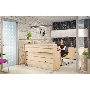 Nadstawka recepcyjna Zx4