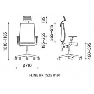 Krzesło I-LINE HR TS25 GTP45 Krzesło I-LINE HR TS25 GTP45