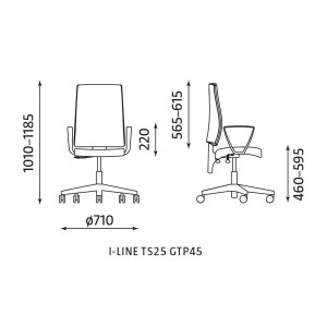 Krzesło I-LINE TS25 GTP 45