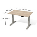 Biurko elektryczne Bse3-7