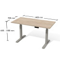 Biurko elektryczne Bse2-8