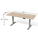 Biurko elektryczne Bse6-7