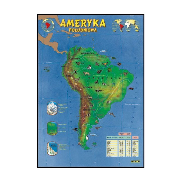 Plansza Ameryka Południowa