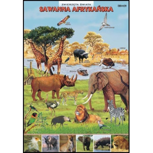 Sawanna afrykańska