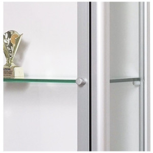 Gablota wystawowa stojąca 100x190x25cm, GST1