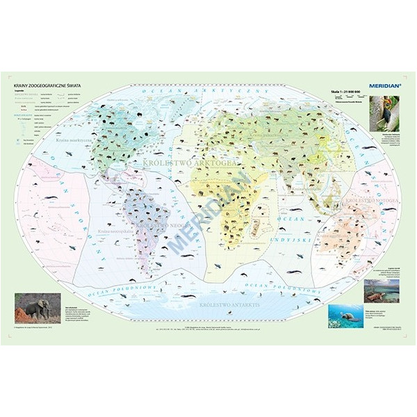 Krainy zoogeograficzne świata - mapa ścienna